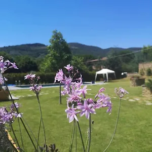 Alba Morus Bed E Breakfast Sentiti A Casa Nel Cuore Della Toscana Bed & Breakfast